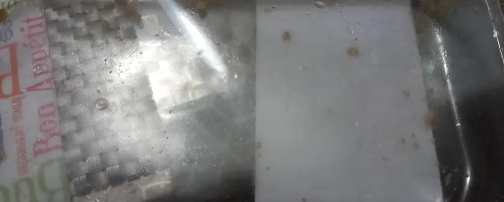 Il filetto di platessa