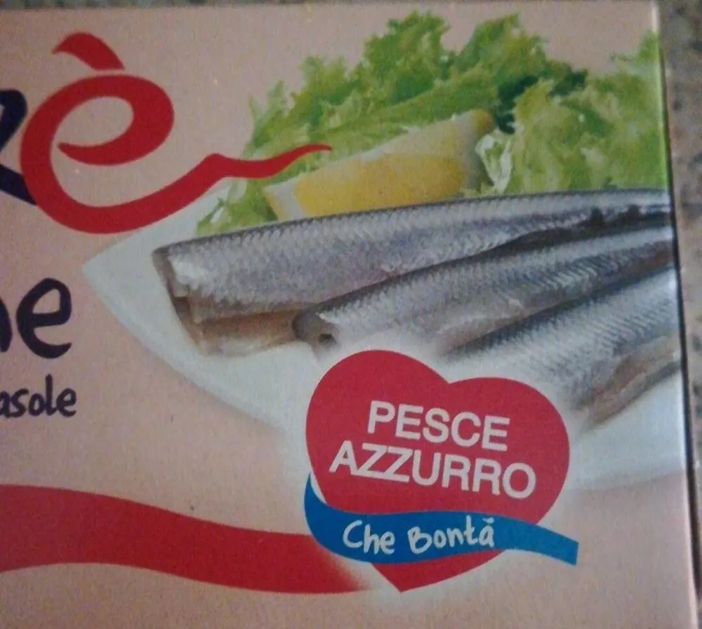Sardine