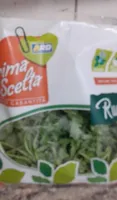 Rucola