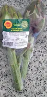Carciofo spinoso di Sardegna DOP