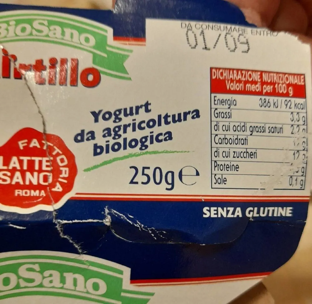 Yogurt mirtillo