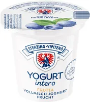 Yogurt intero - 125g - Gusto mirtillo nero