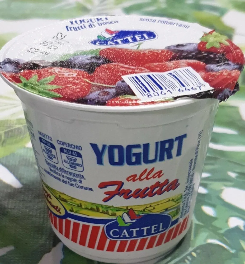 Yougurt CATTEL