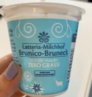 Yogurt magro