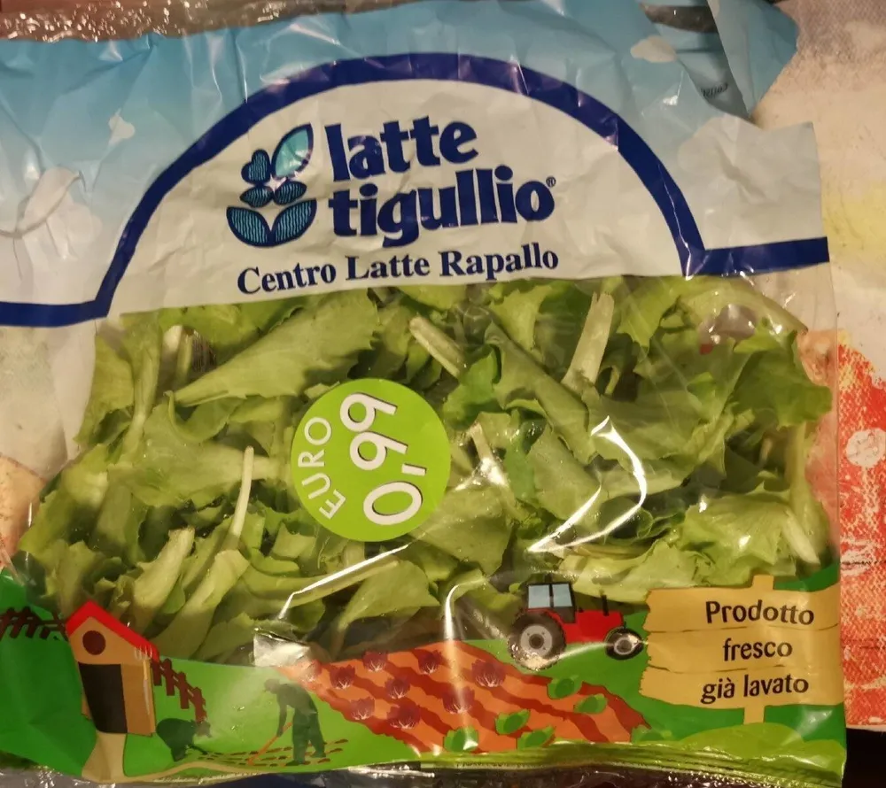 Lattughino