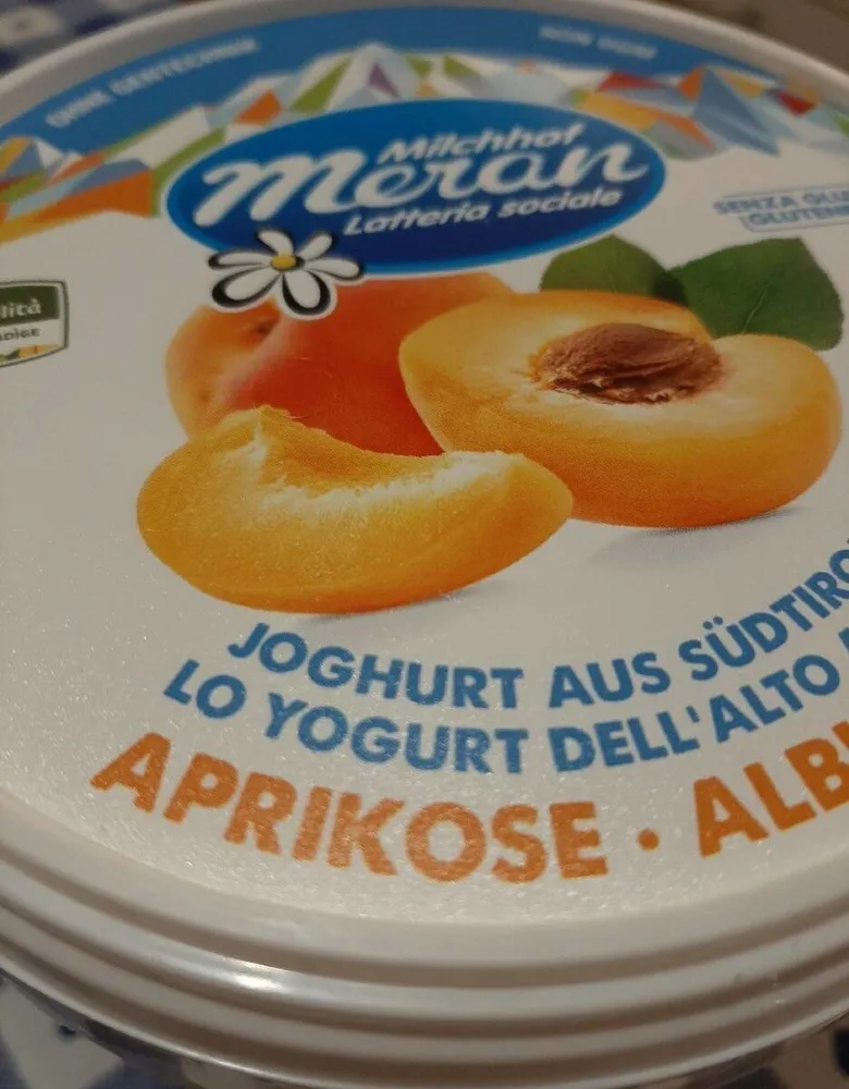Yogurt