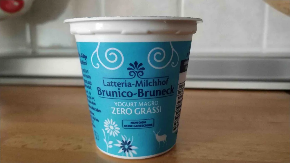 Jogurt magro