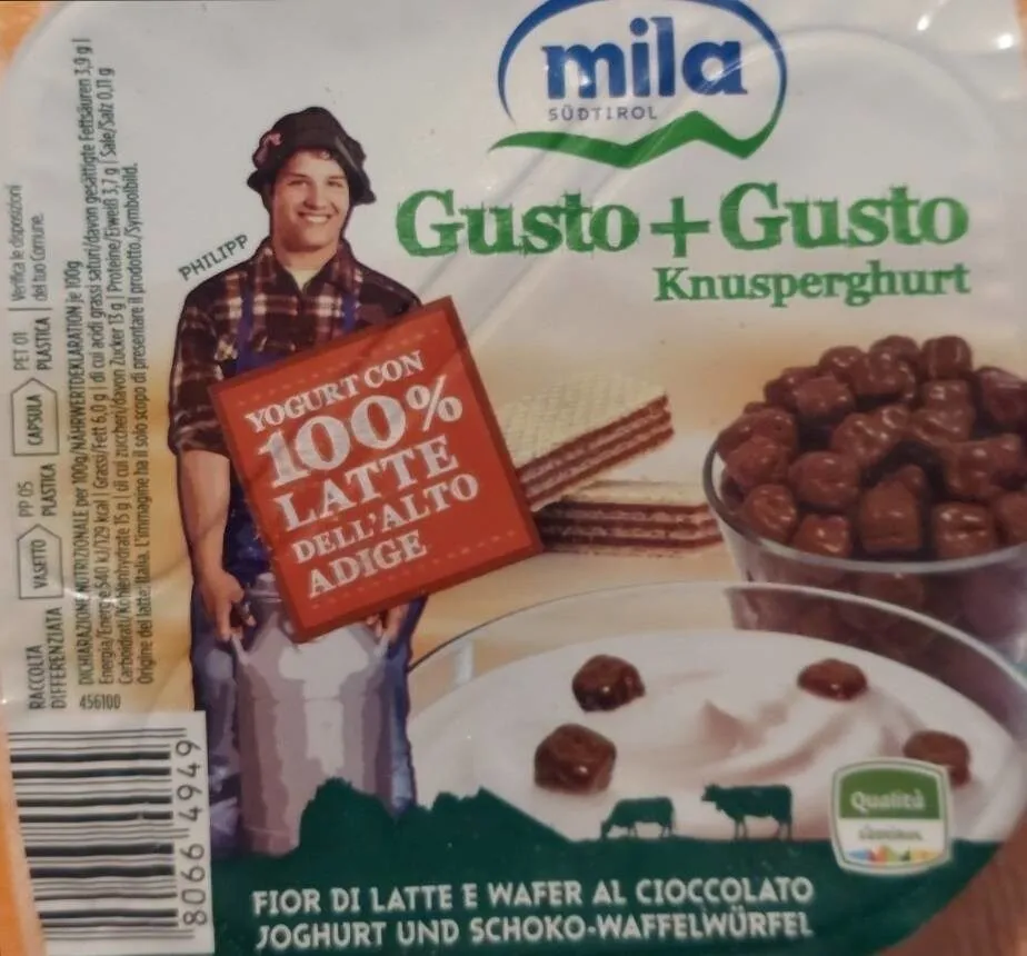 Yogurt fior di latte e wafer al cioccolato