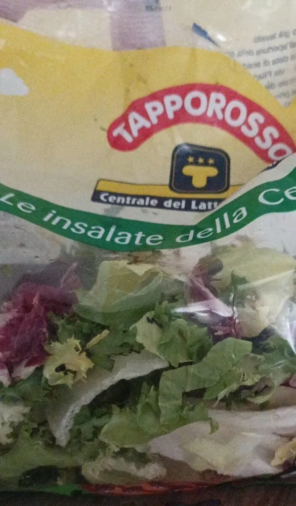 Le insalate della centrale