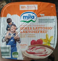 Yogurt vaniglia e lamponi