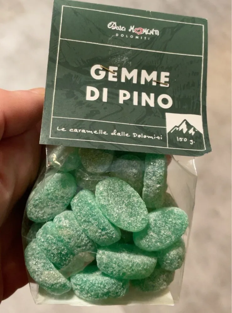 Gemme di Pino