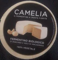 Fermentino