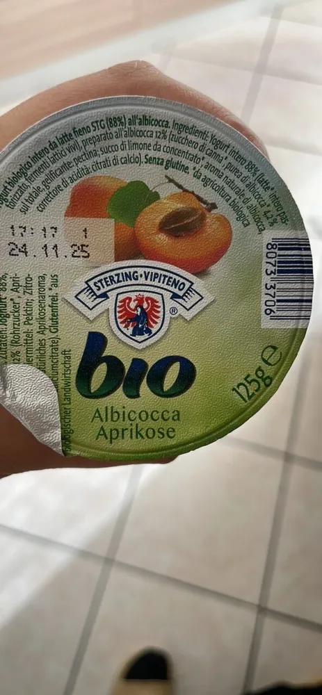Yogurt biologico da latte fieno STG - 125g - Gusto albicocca