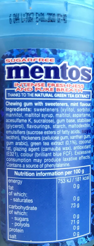 Mentos Sugar Free Mint Gum Pocket Bottle