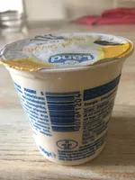 Yogurt intero alla vaniglia
