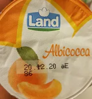 Yogurt Land Albicocca