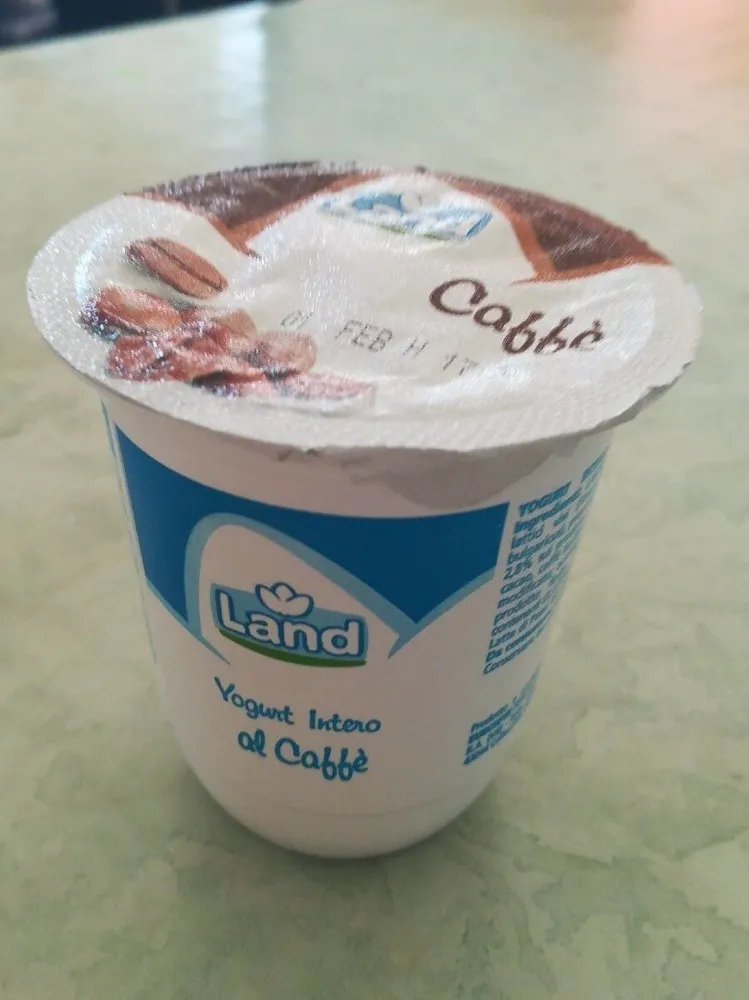 Yogurt intero al caffè