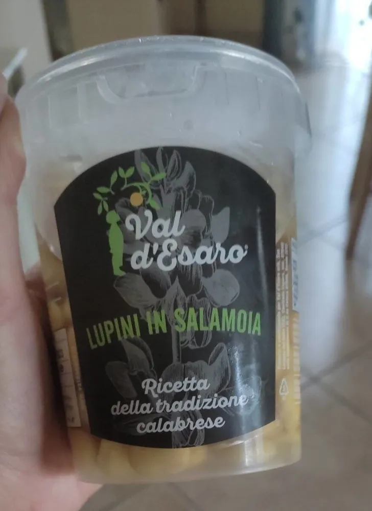 Lupini in salamoia