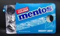 Chewing gum mighty mint