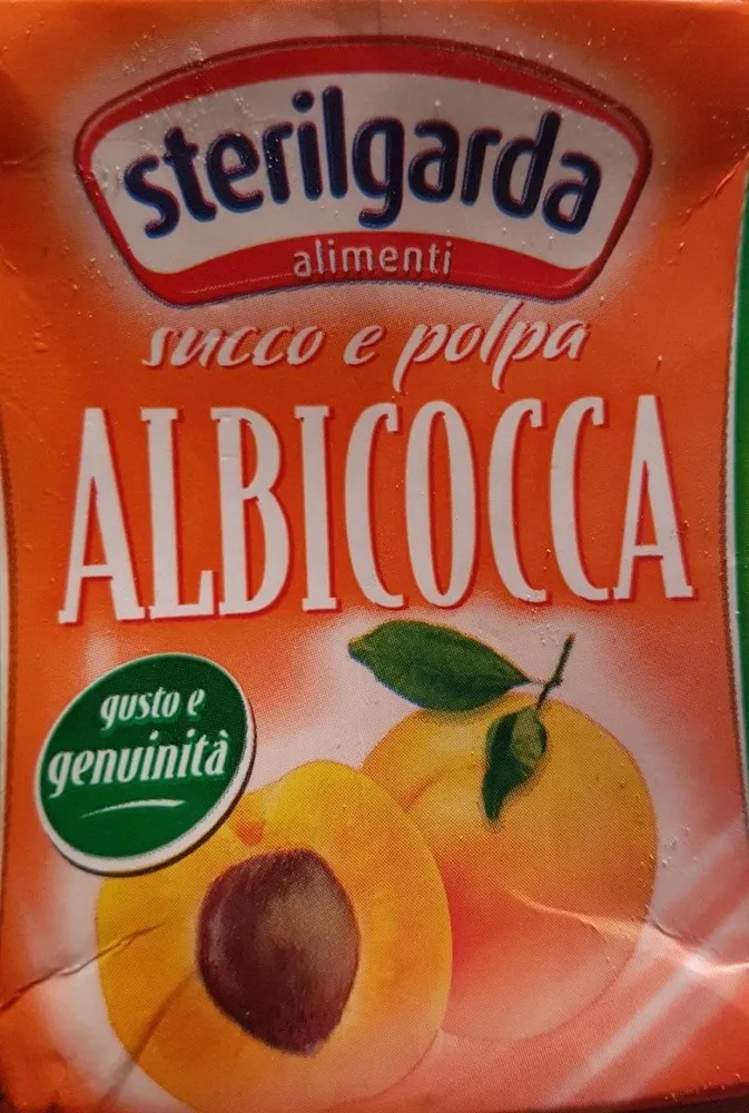 Albicocca