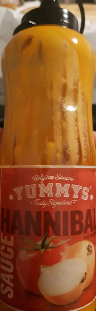 sauce hannibal aux oignons
