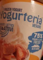 Frozen Yogurt