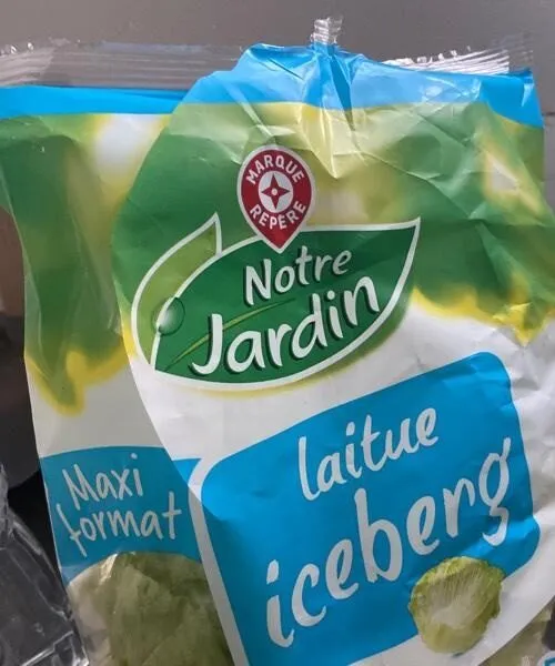 Laitue icerberg