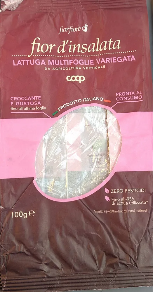 fior d'insalata lattuga multifoglie variegata