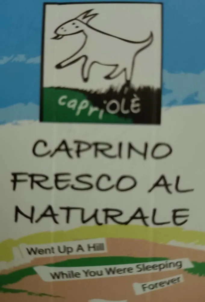 Caprino fresco al laturale