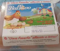 Uova allevate a terra