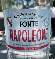 Fonte Napoleone
