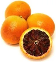 Orange Sanguinelli cat 1 Origine ESPAGNE