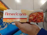 Calamares americana