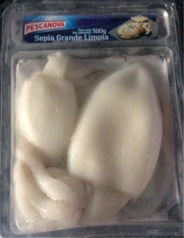 Sepia grande