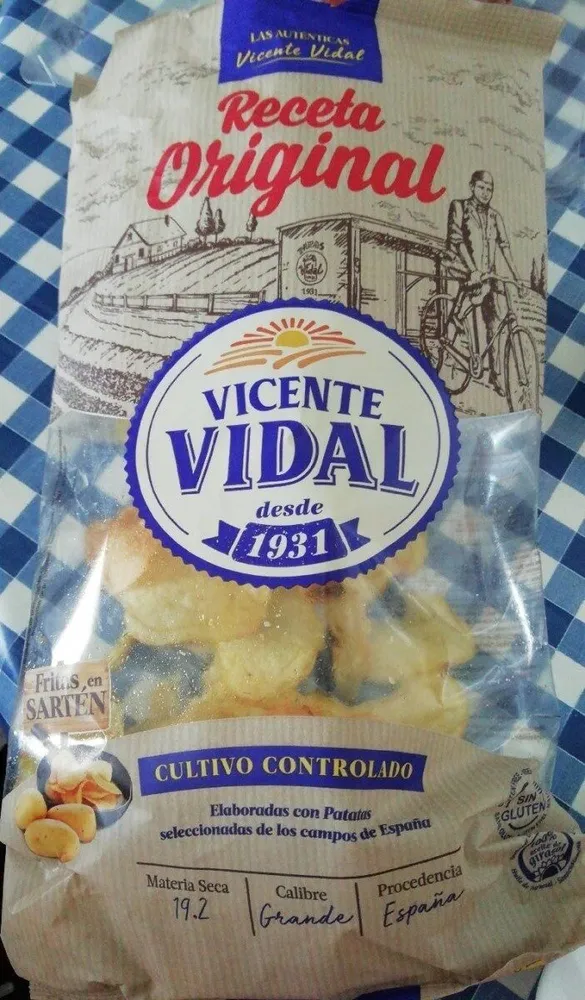 Vicent vidal