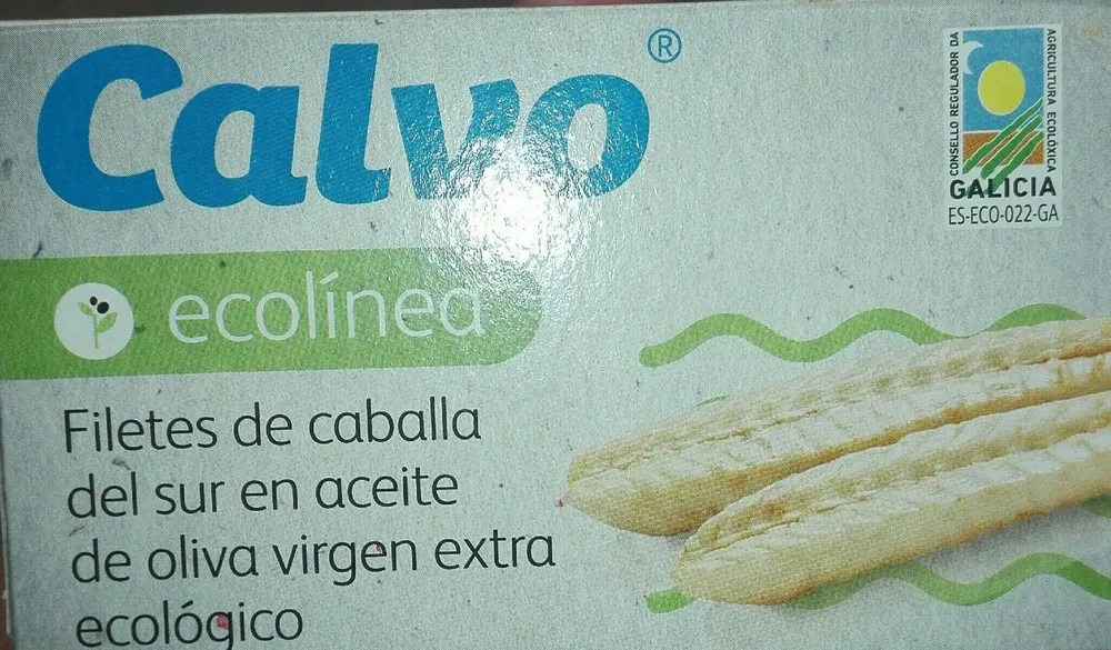 Filetes de caballa del sur en aceite de oliva