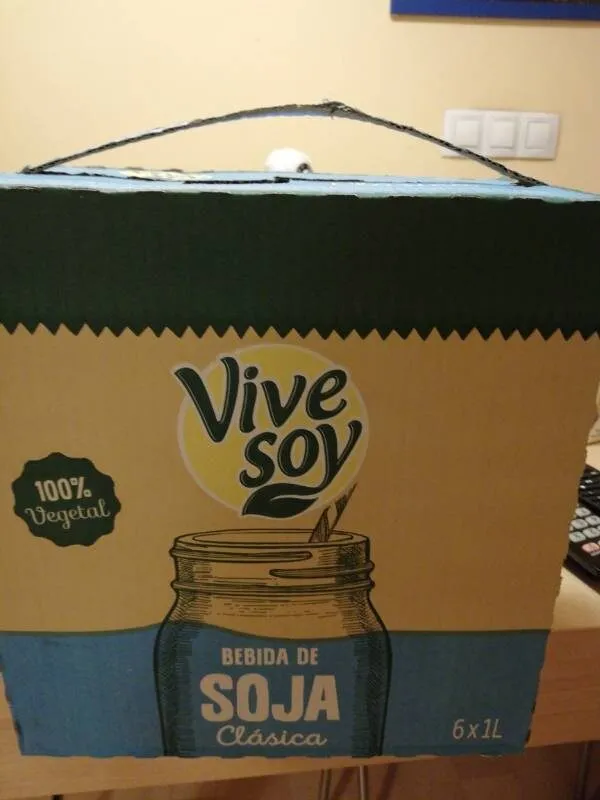 Leche de Soja