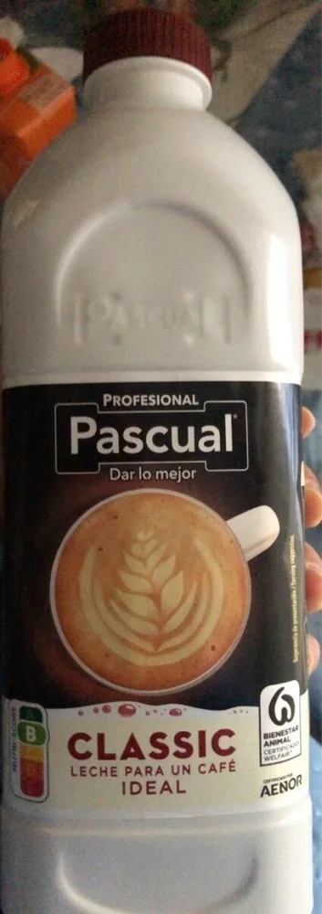 Classic leche para café