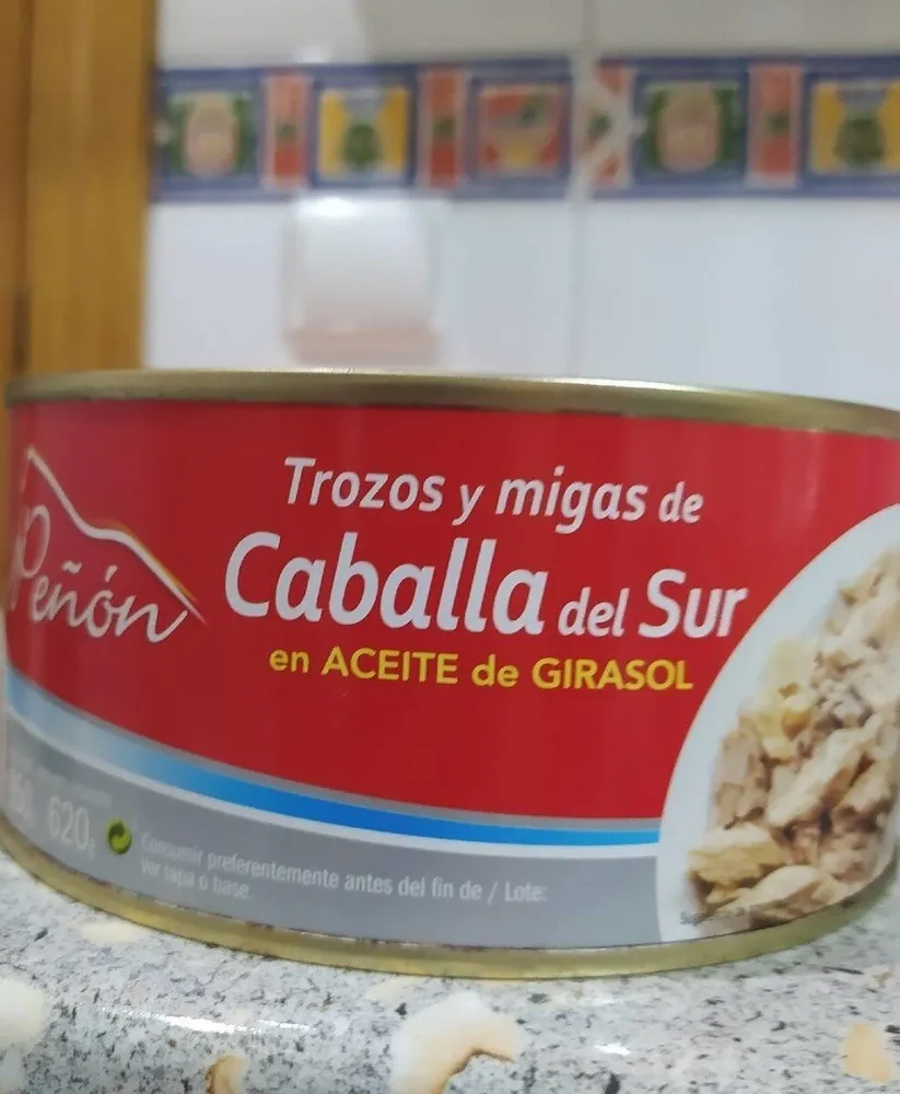 Trozos y migas de caballa del Sur en aceite de girasol