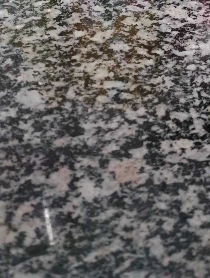 Chuletas de cerdo