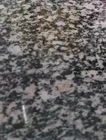 Chuletas de cerdo