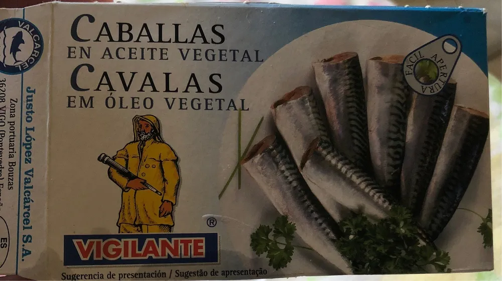 Caballas en ACEITE VEGETAL