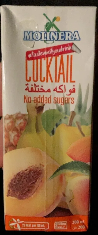 COCKTAIL MULTIFRUIT
