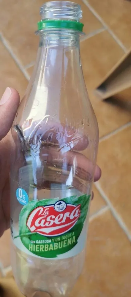 Gaseosa y un toque de hierbabuena