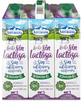 Leche desnatada sin lactosa