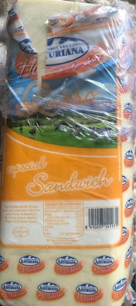 Queso especial sandwich