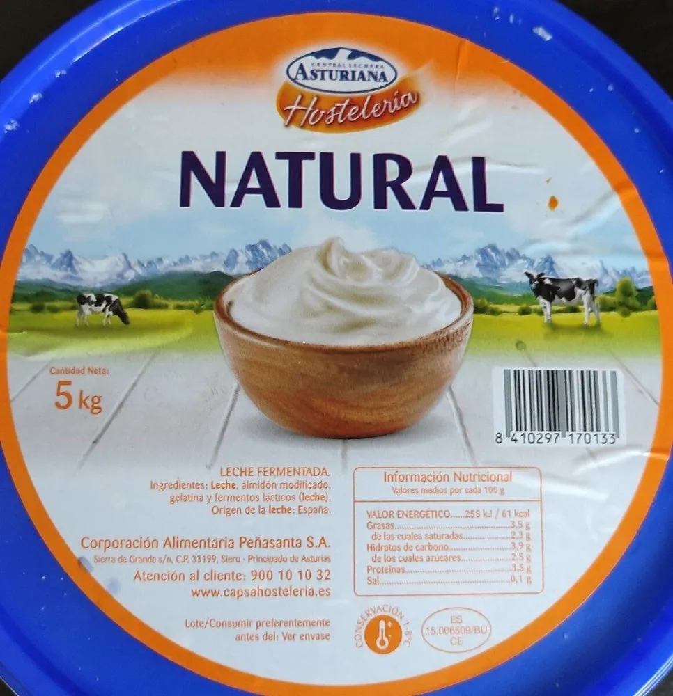 Yogurt Hostelería Natural
