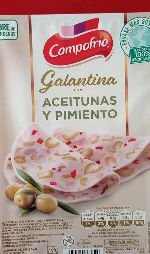 Galantina con Aceitunas y pimiento