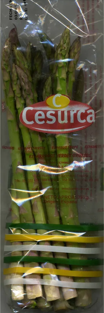 Espárragos verdes