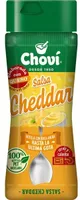 Salsa cheddar